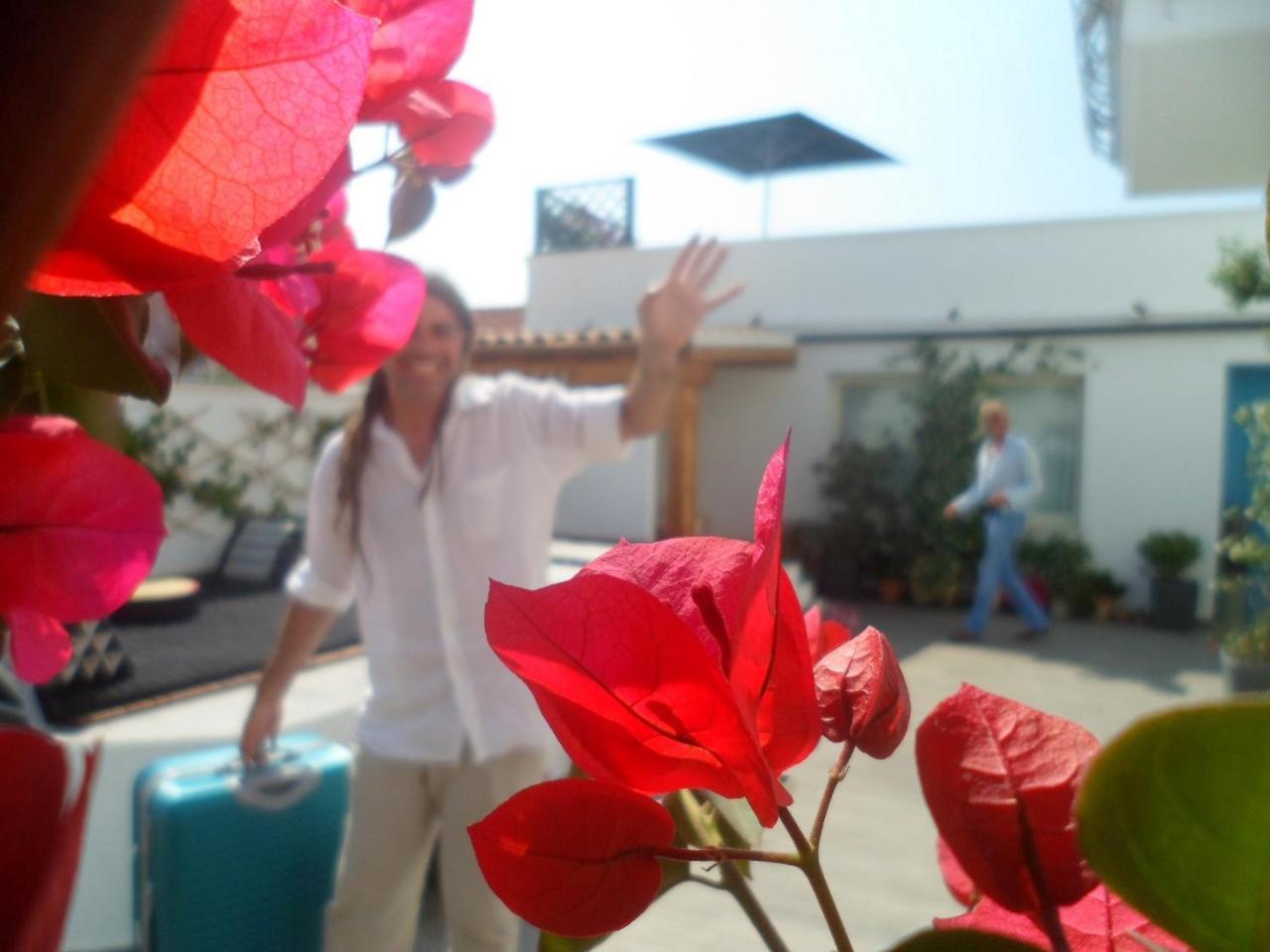 B&B Domus De Janas サンタ・テレーザ・ガッルーラ エクステリア 写真